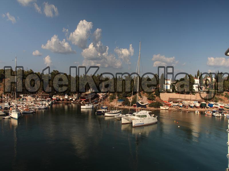 ספצס Kamelia Hotel מראה חיצוני תמונה